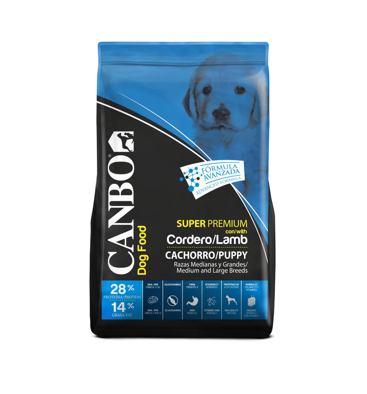 Canbo cachorro cordero