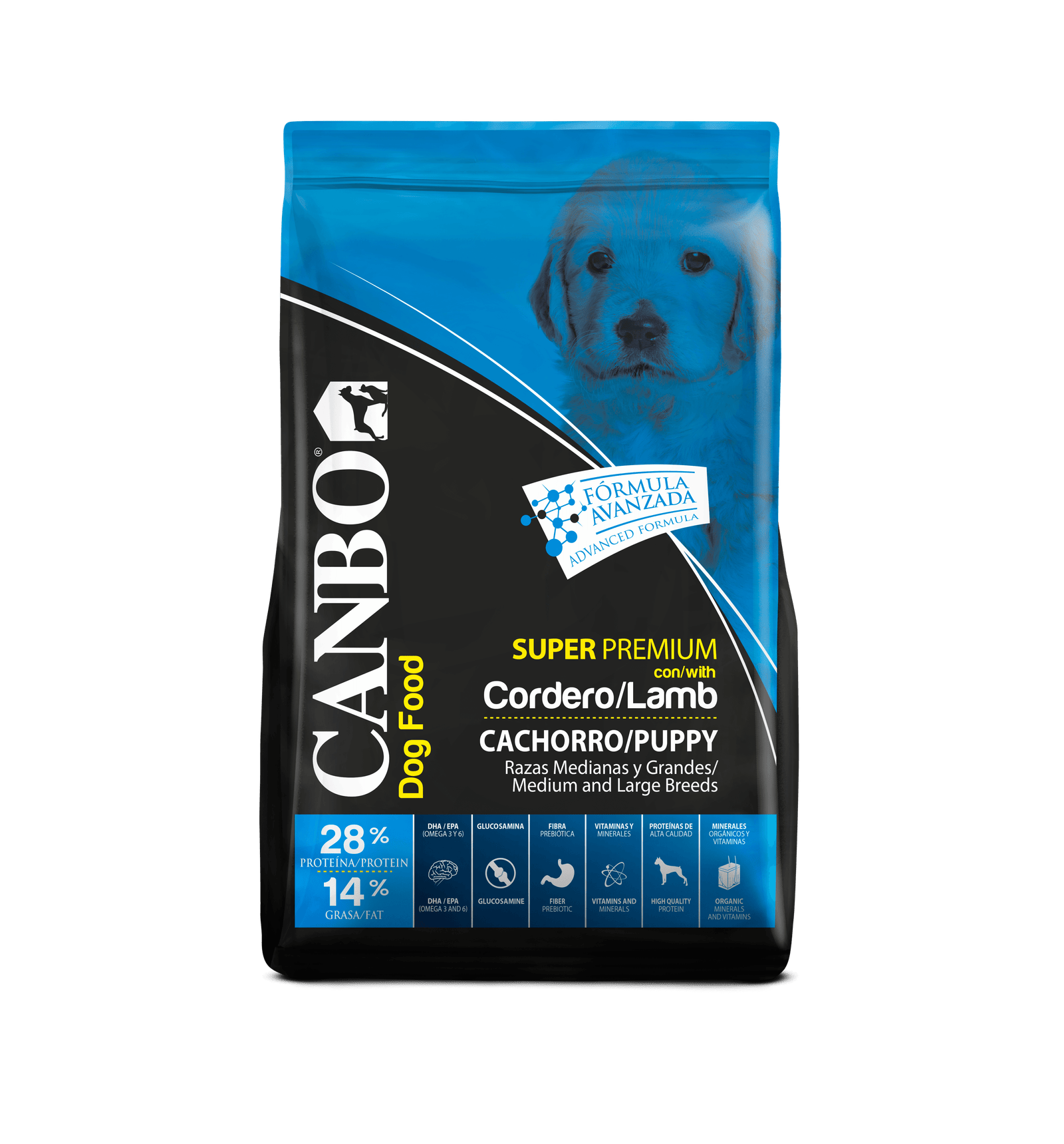 Canbo cachorro cordero