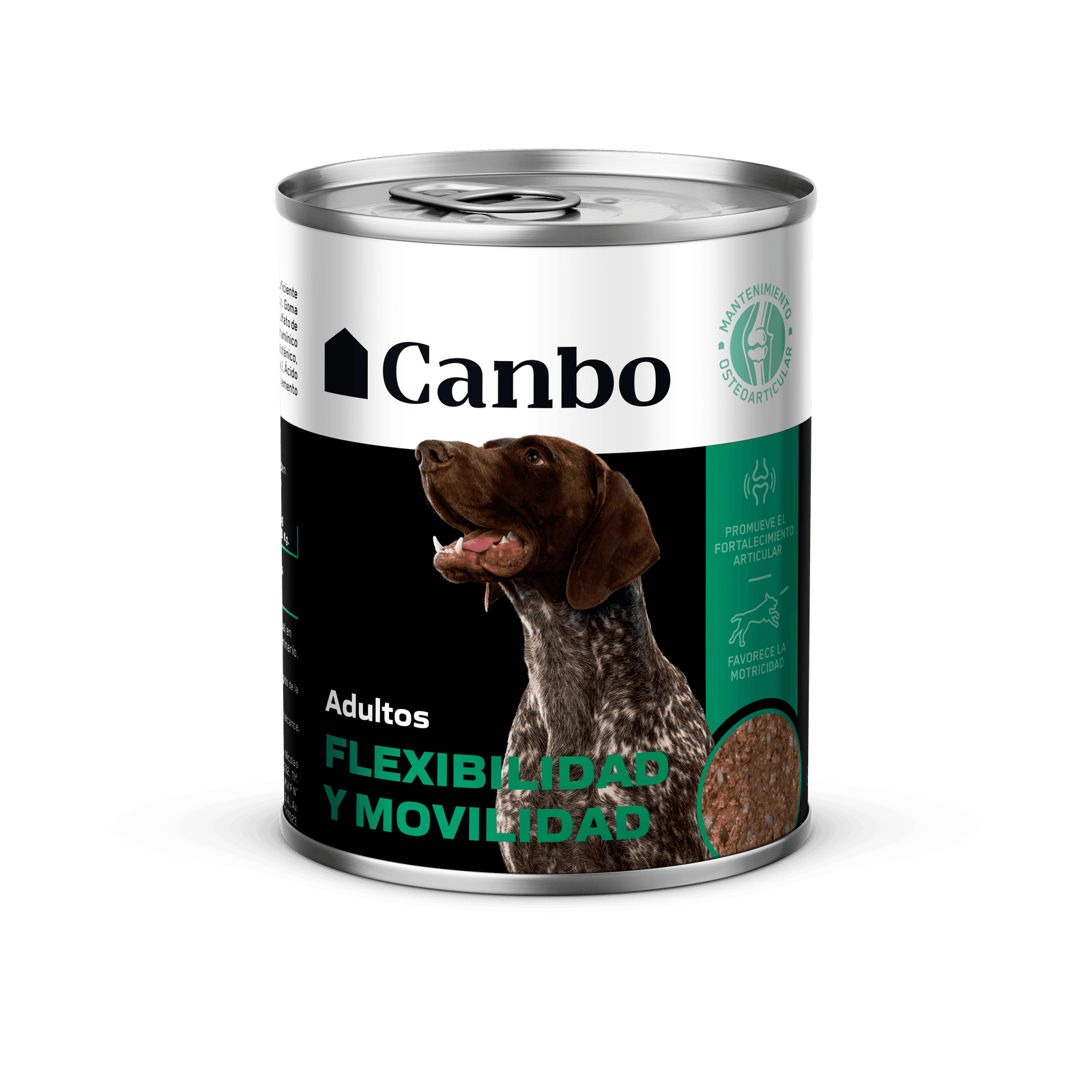 FLEXIBILIDAD Y MOVILIDAD