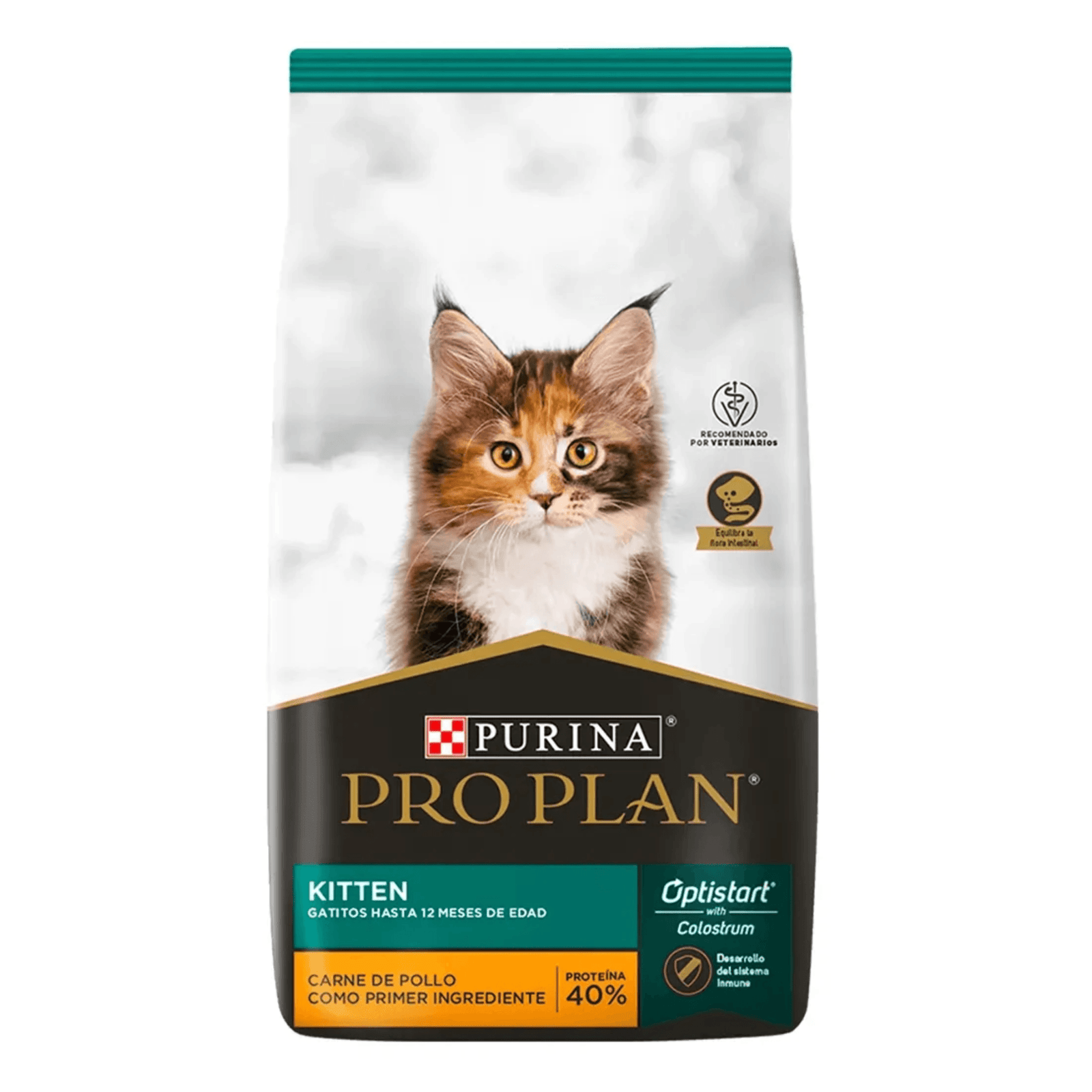 Proyecto Cambiar tamaño de imagen (11)