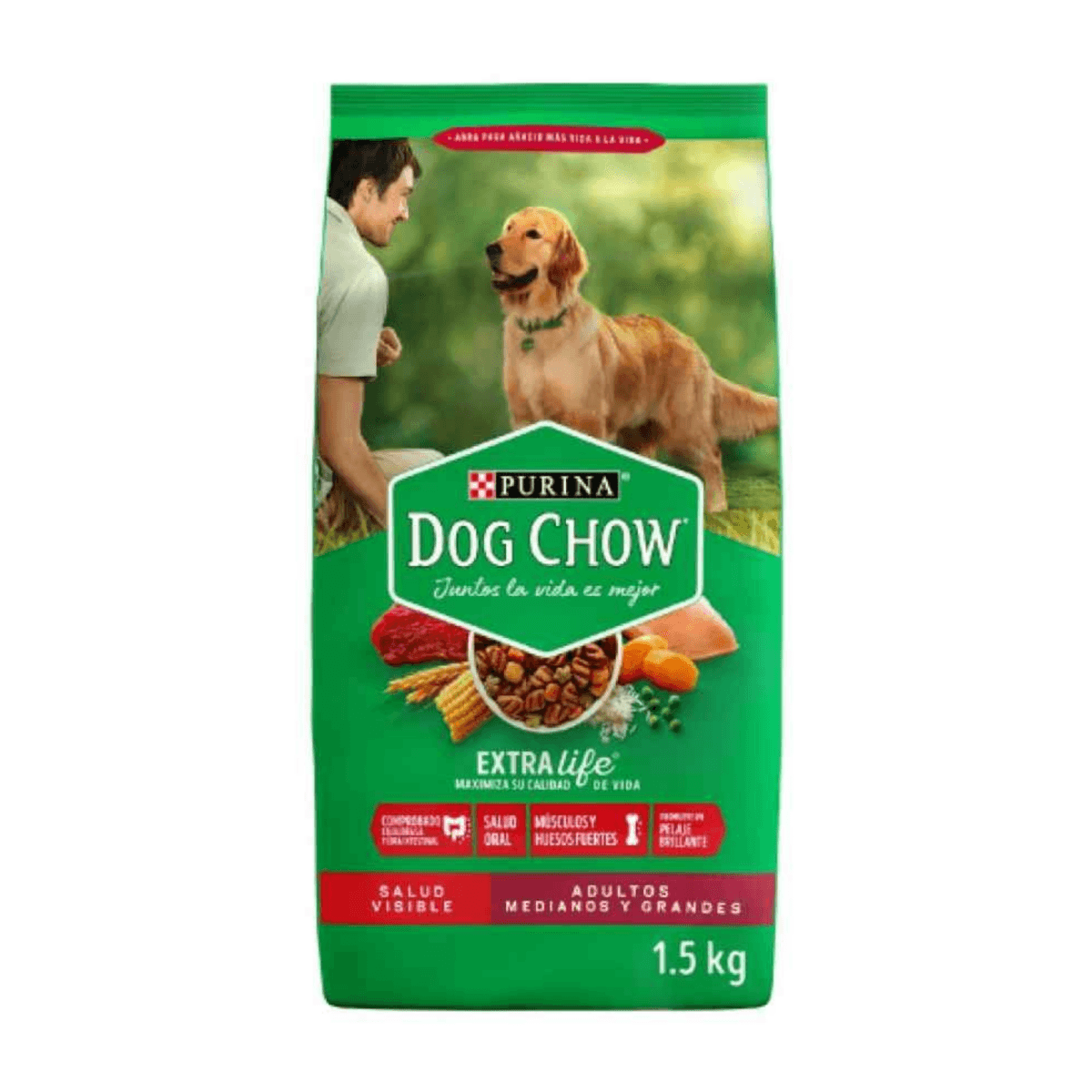 Proyecto Cambiar tamaño de imagen (8)