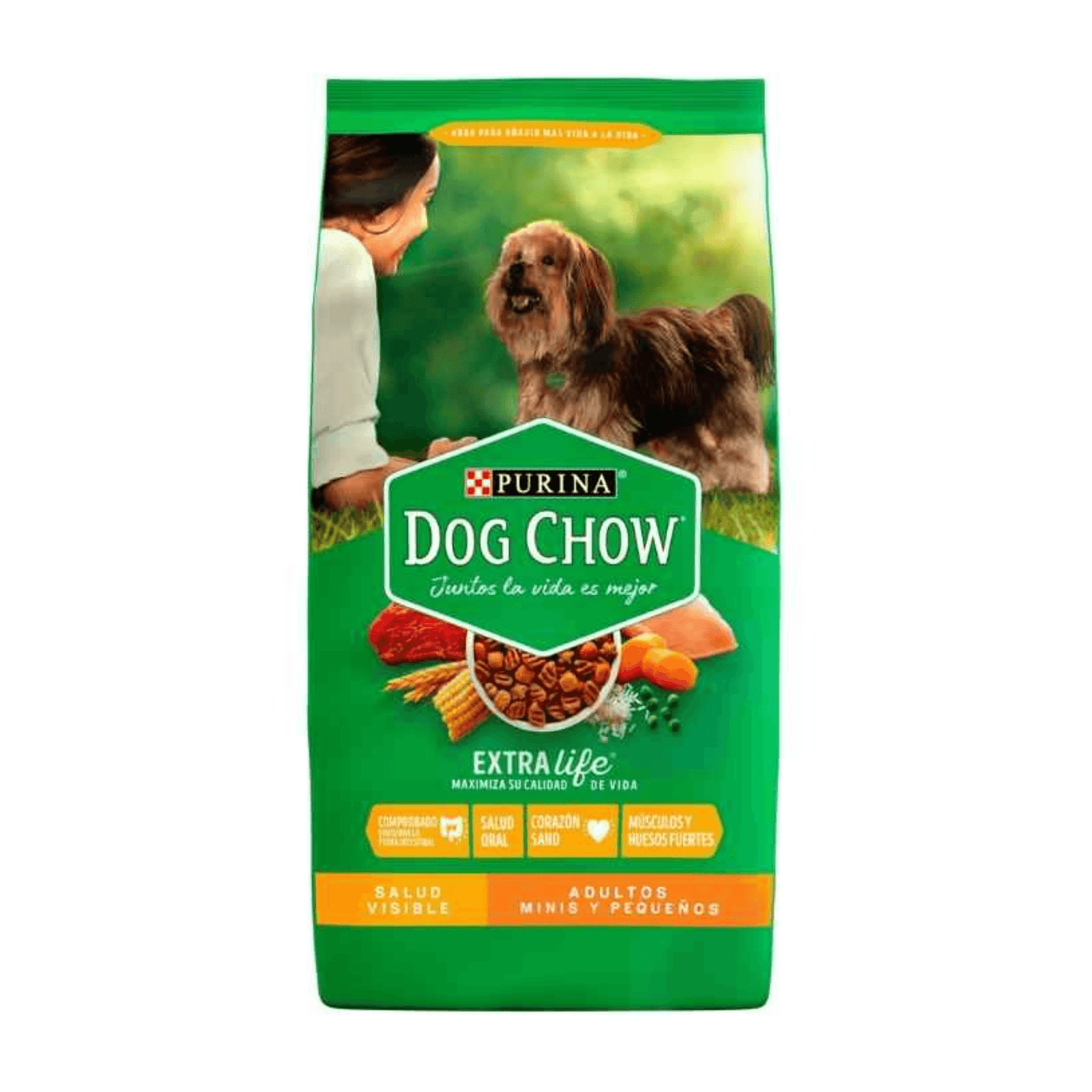 Proyecto Cambiar tamaño de imagen (9)