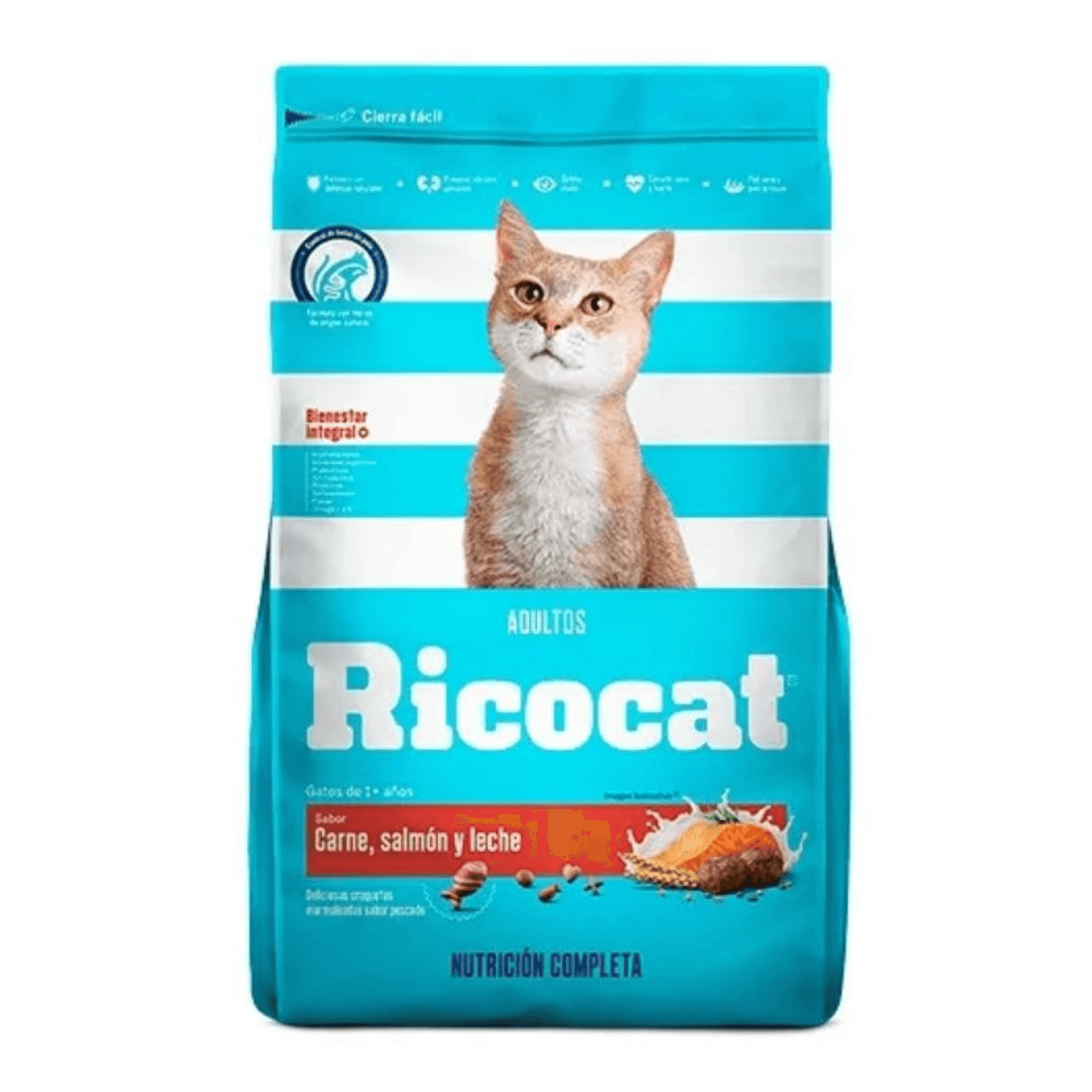 Proyecto Cambiar tamaño de imagen (16)