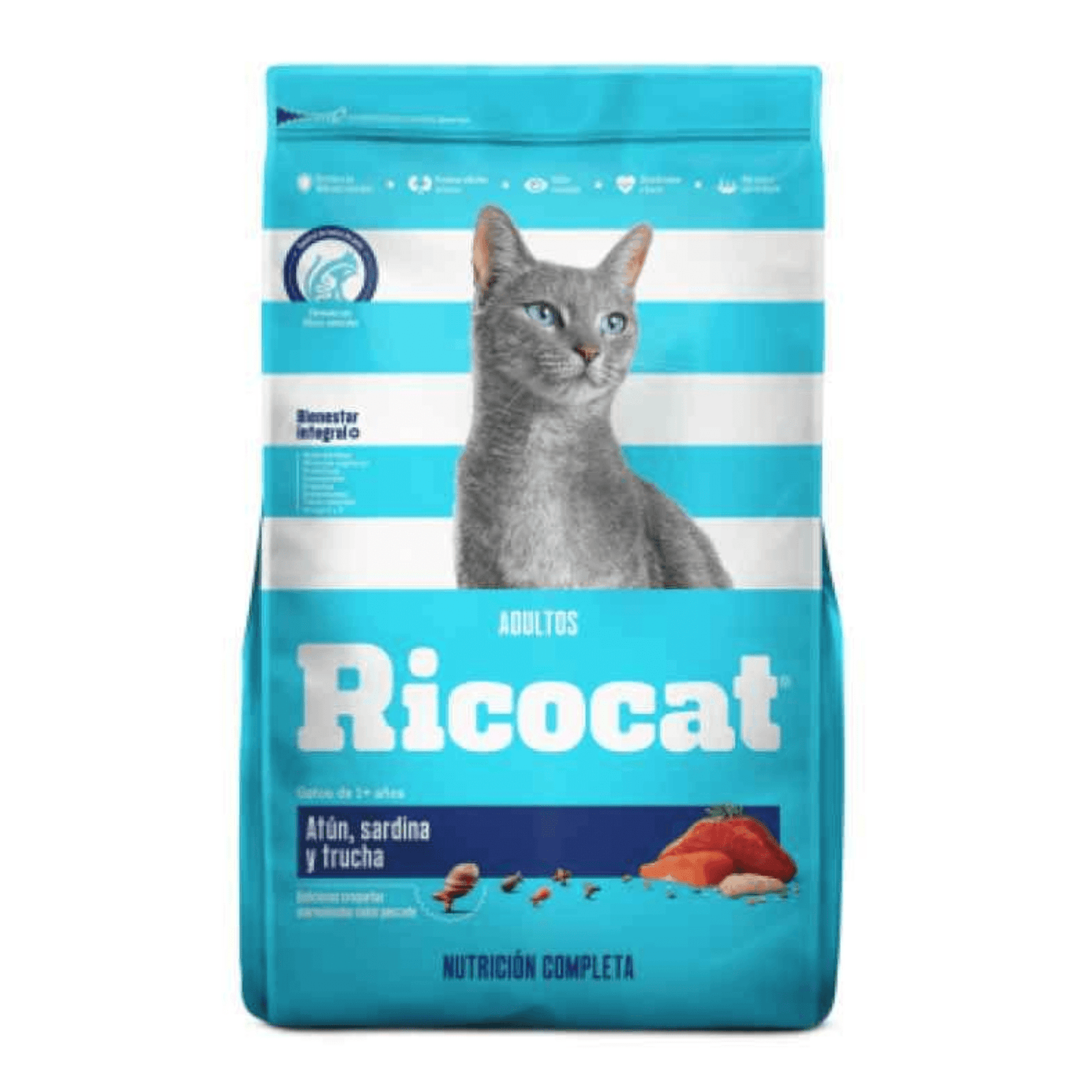 Proyecto Cambiar tamaño de imagen (17)