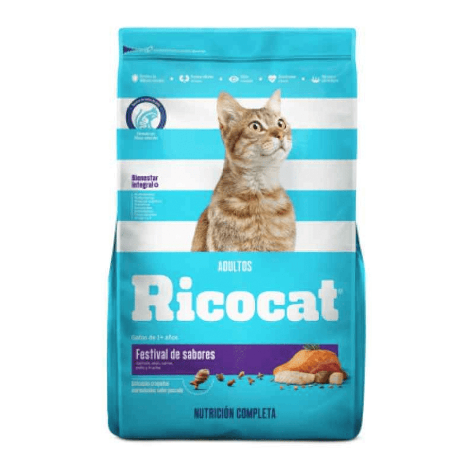 Proyecto Cambiar tamaño de imagen (18)