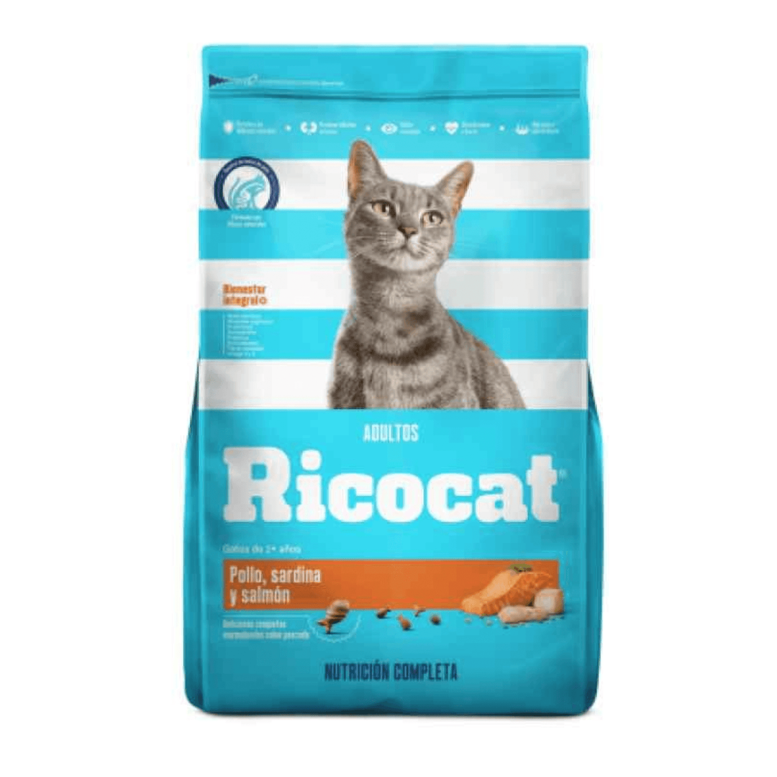 Proyecto Cambiar tamaño de imagen (19)