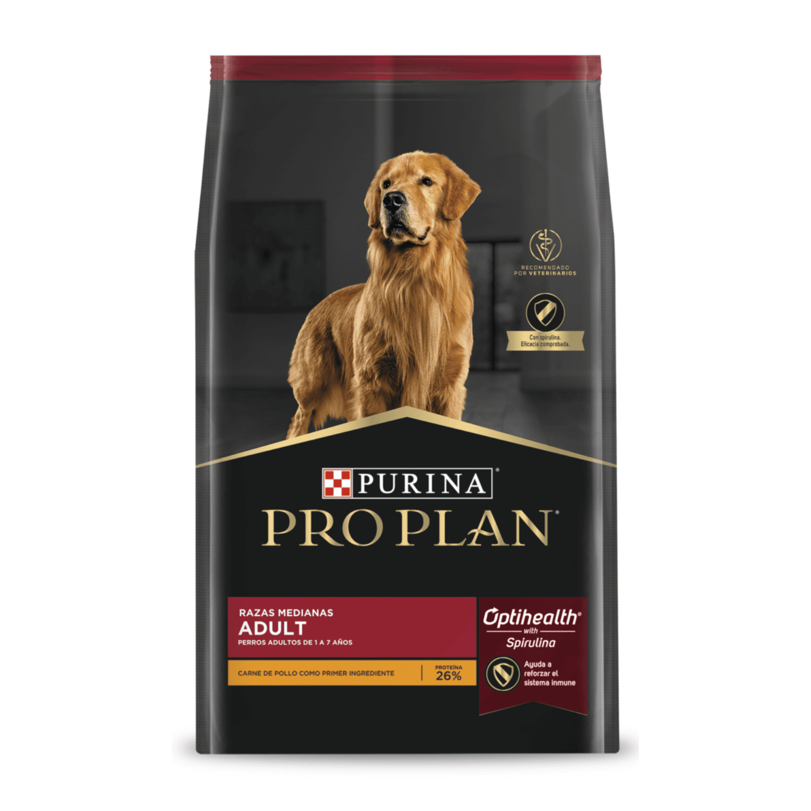 Proyecto Cambiar tamaño de imagen (2)