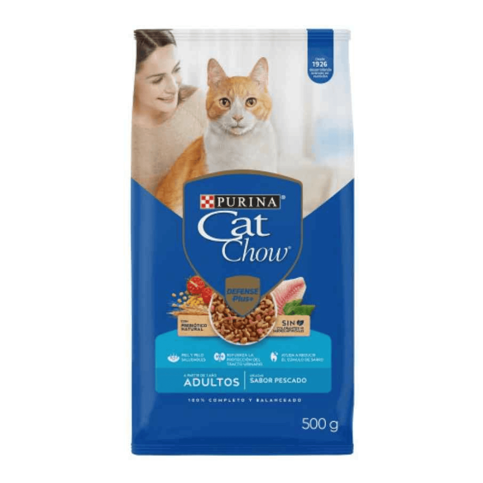 Proyecto Cambiar tamaño de imagen (23)